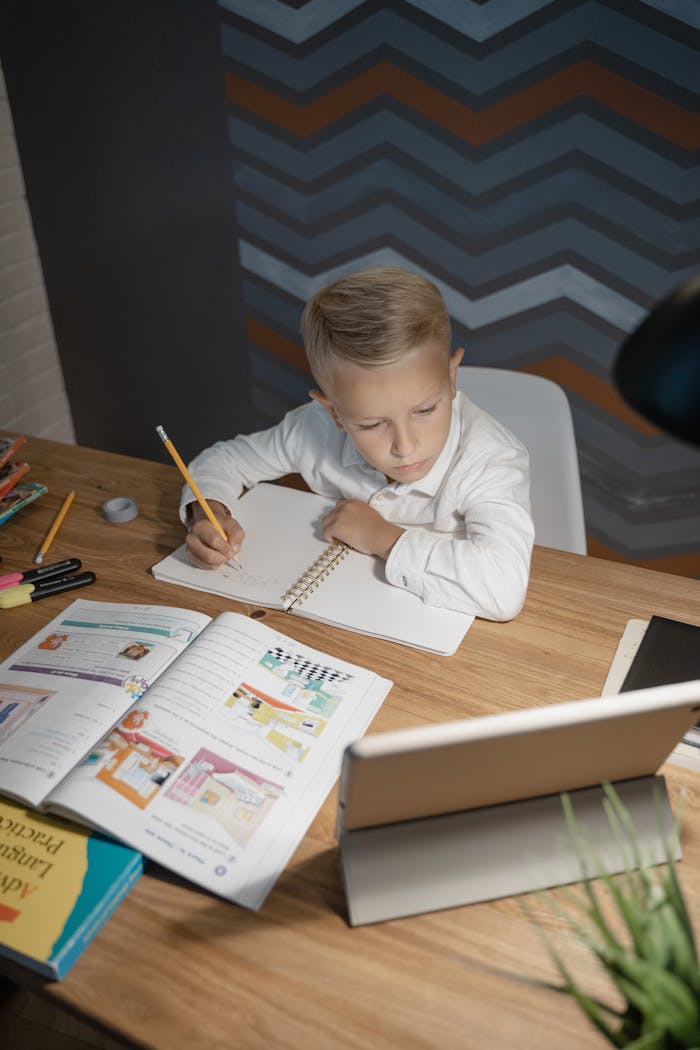 journey A young boy engaged in learning at home, using a tablet and books on his desk.
